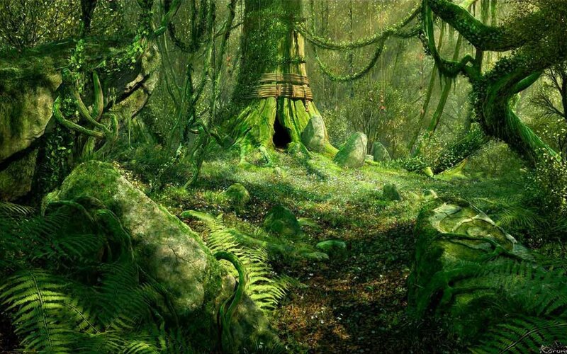 Mossy Tree Hollow