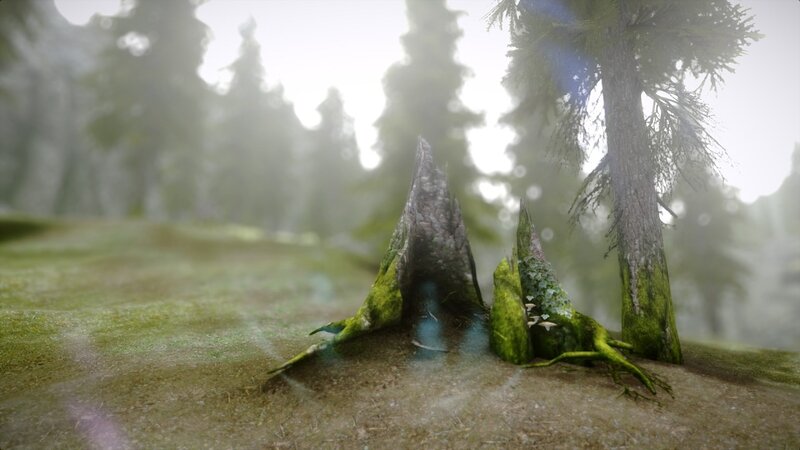 mossy tree stumps in forest