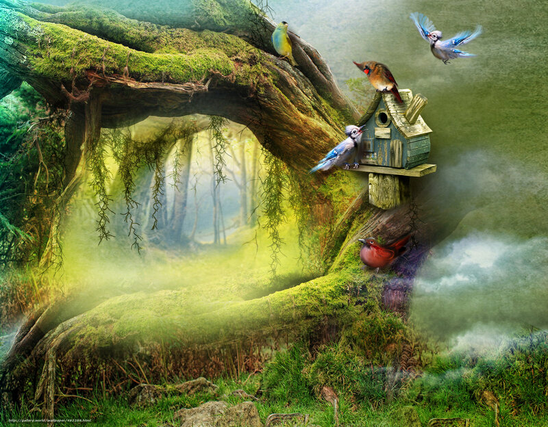 Mossy tree with birdhouse
