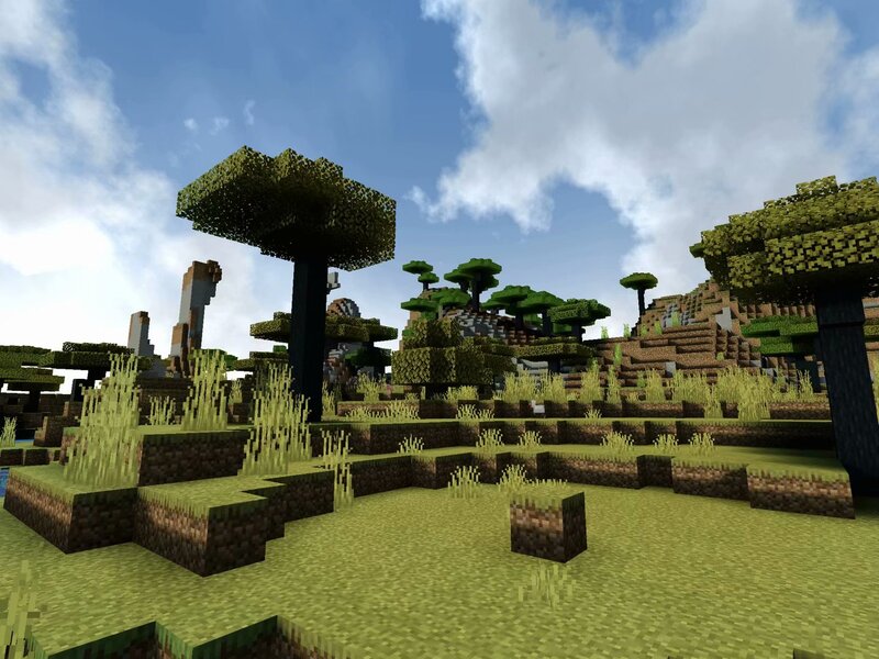 Mossy Trees in Grass