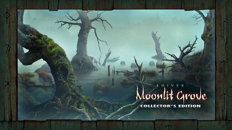 Mossy Trees in Swamp — Green