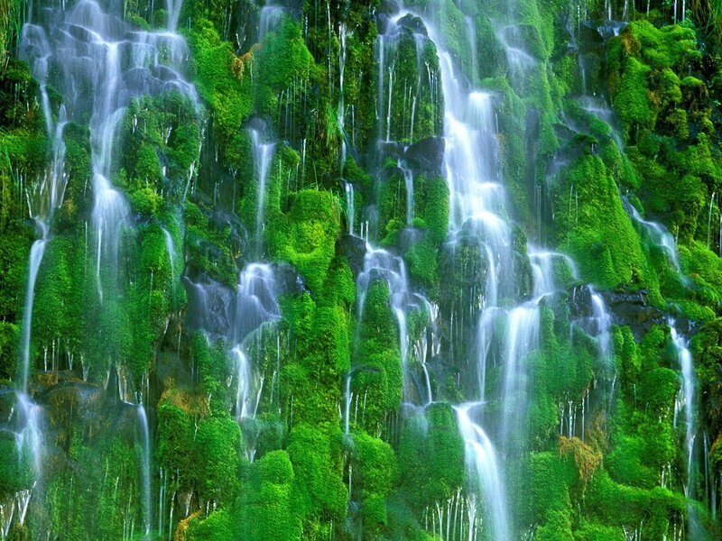Mossy waterfall cascade