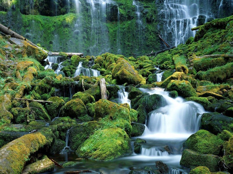Mossy waterfall cascade