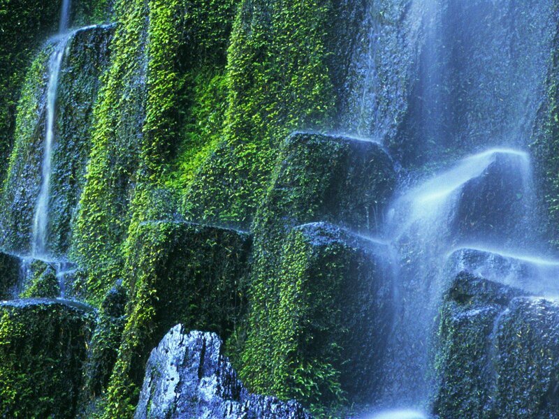Mossy waterfall cascade