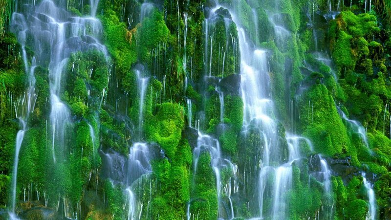 Mossy waterfall cascade