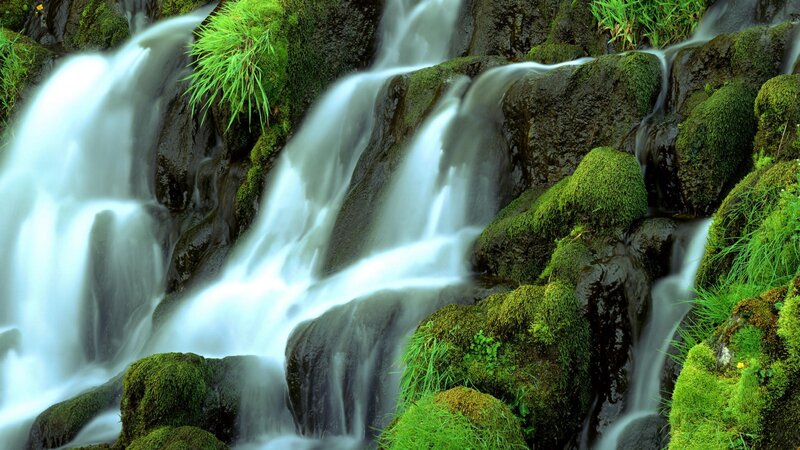 Mossy waterfall cascade