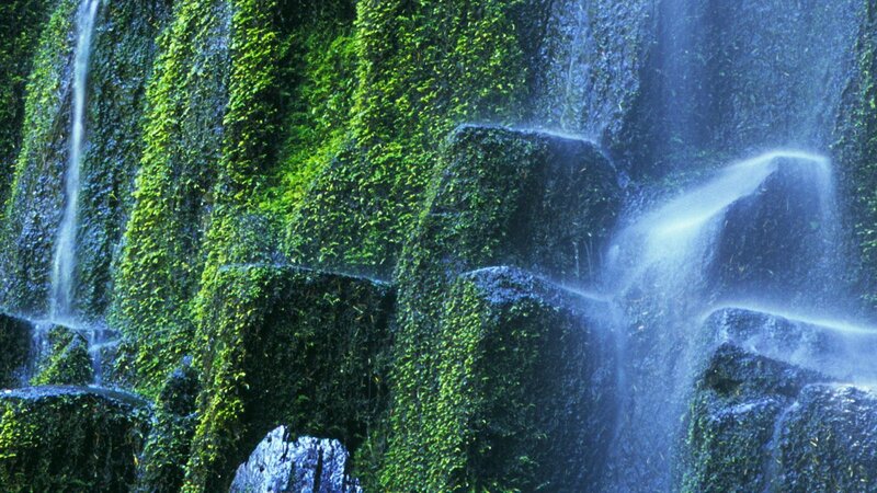 Mossy waterfall cascade