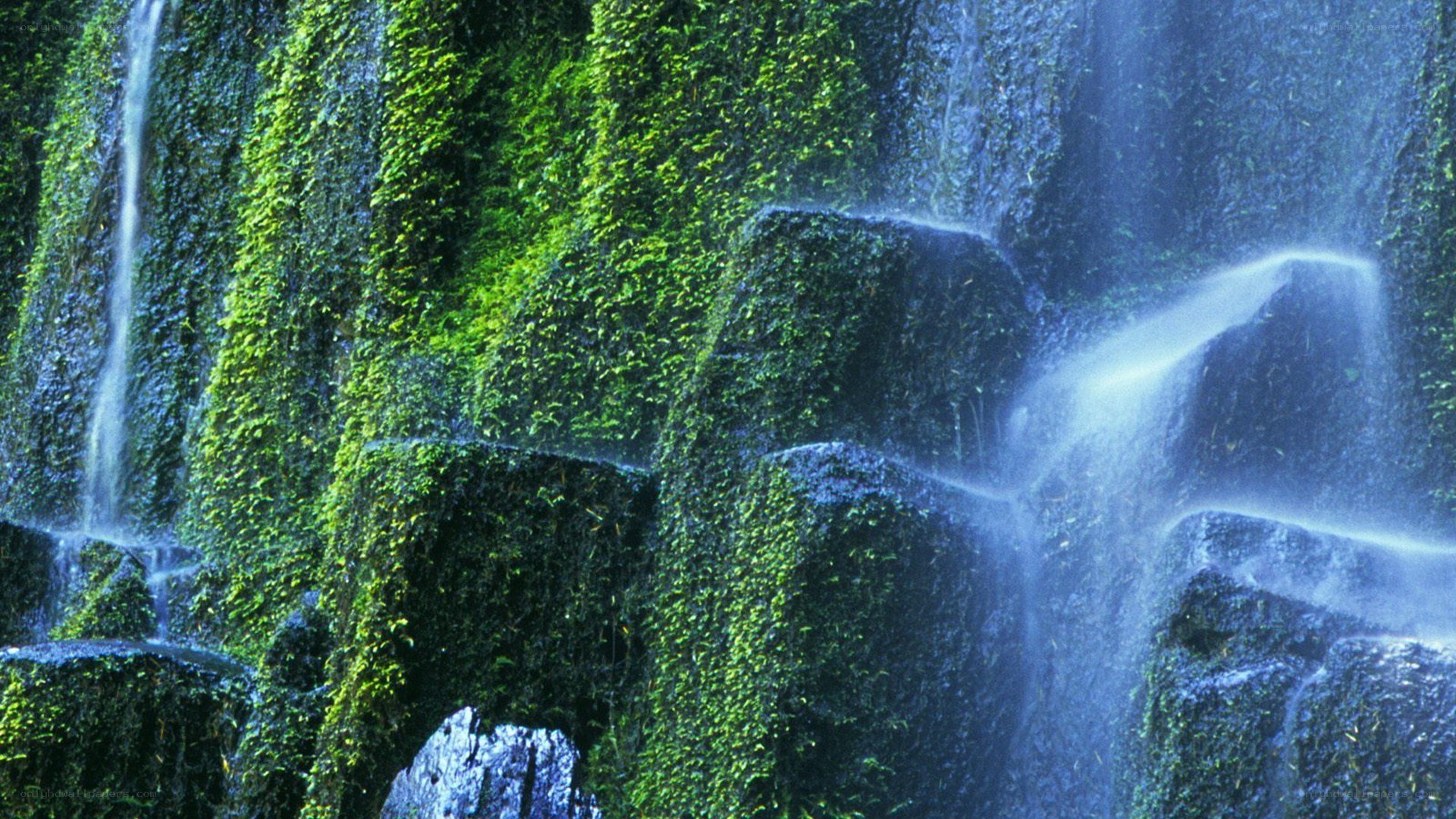 Mossy waterfall cascade