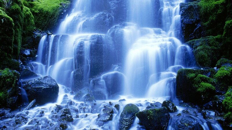 Mossy waterfall cascade