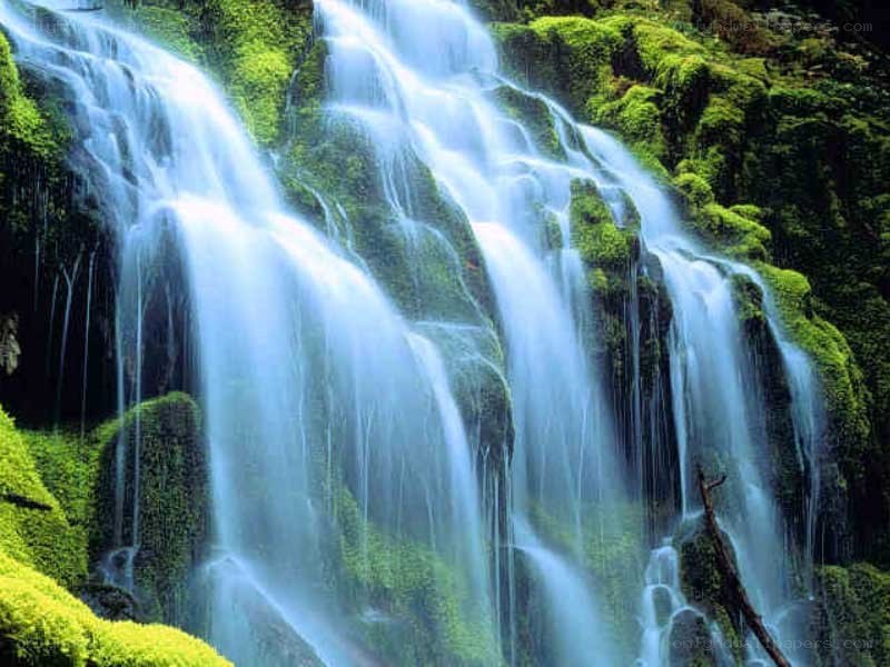 Mossy waterfall cascade