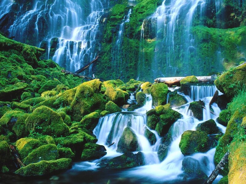 Mossy waterfall cascade