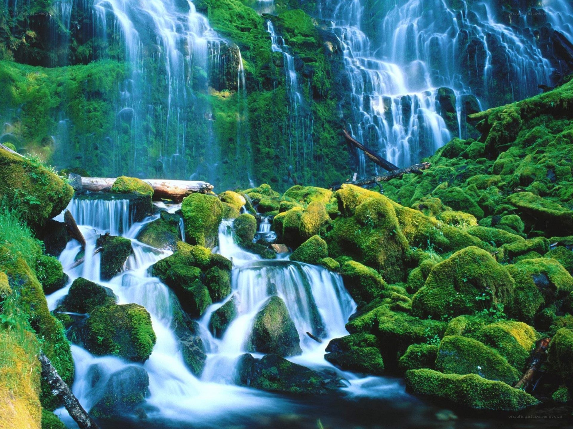 Mossy waterfall cascade