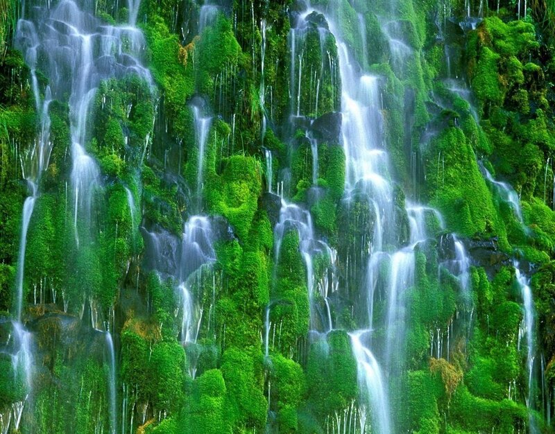 Mossy waterfall cascade