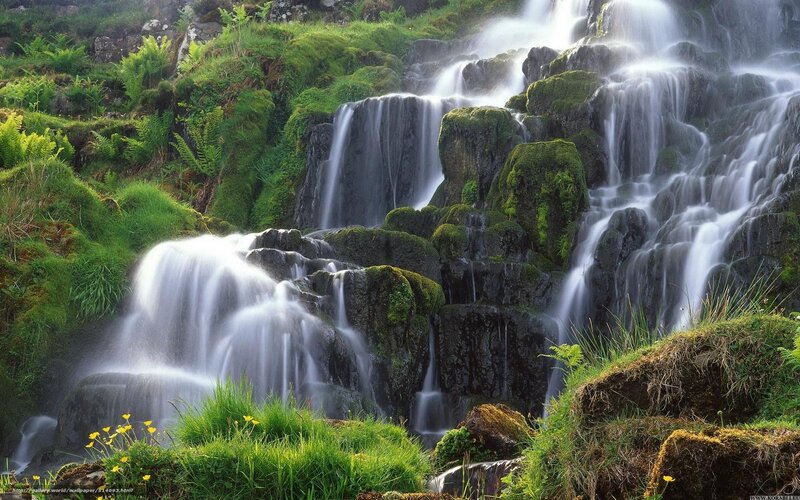 Mossy waterfall cascade