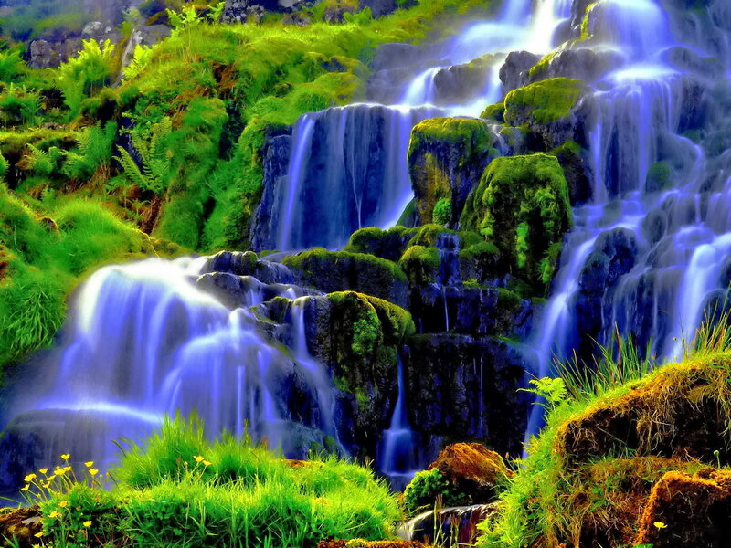 Mossy Waterfall Cascade — Green, Serene, Photograph, Moss