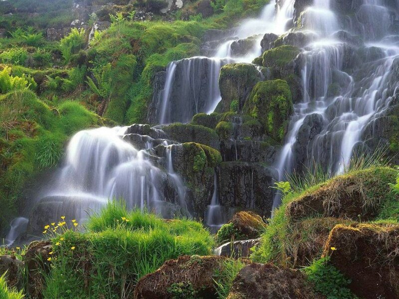 Mossy Waterfall Cascade — Green