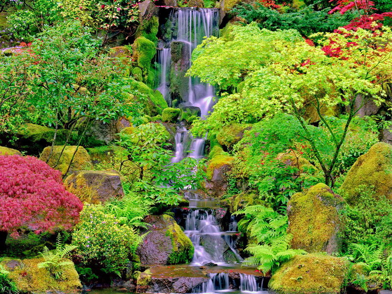 Mossy Waterfall Garden