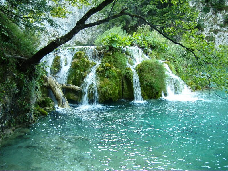 Mossy Waterfall — Green, Serene, Afternoon, Photograph