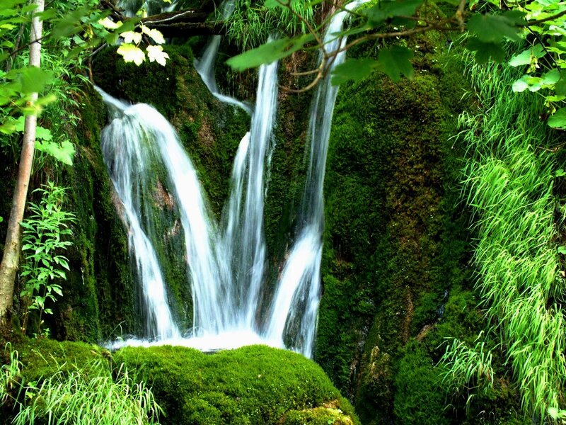 Mossy Waterfall — Green, Serene, Afternoon