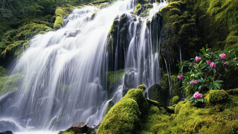 Mossy Waterfall — Green, Serene, Spring, Photograph, Moss