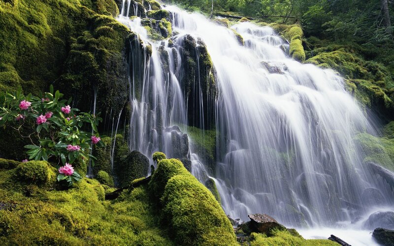 Mossy Waterfall — Green, Serene, Spring, Photograph