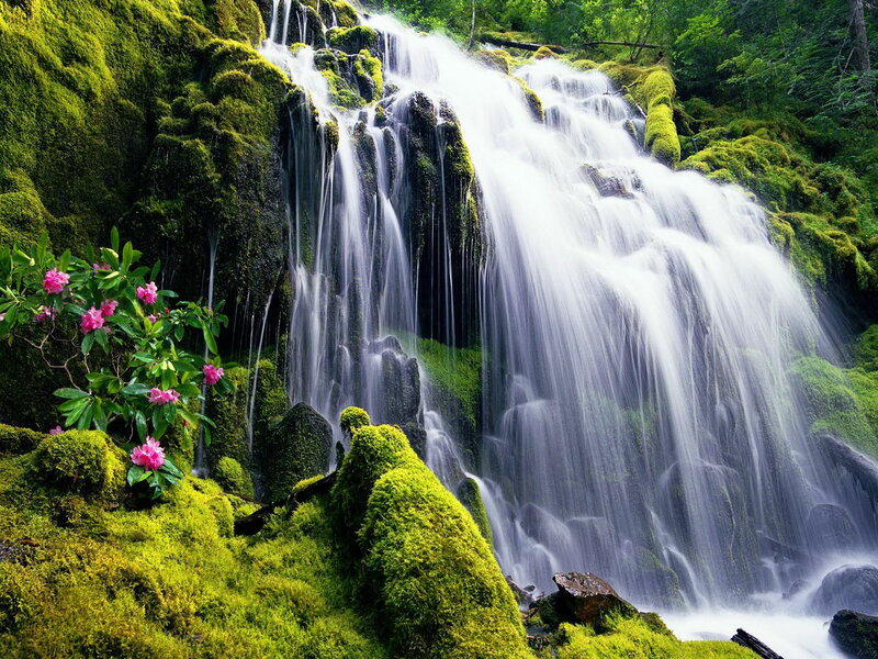 Mossy Waterfall — Green, Serene, Spring