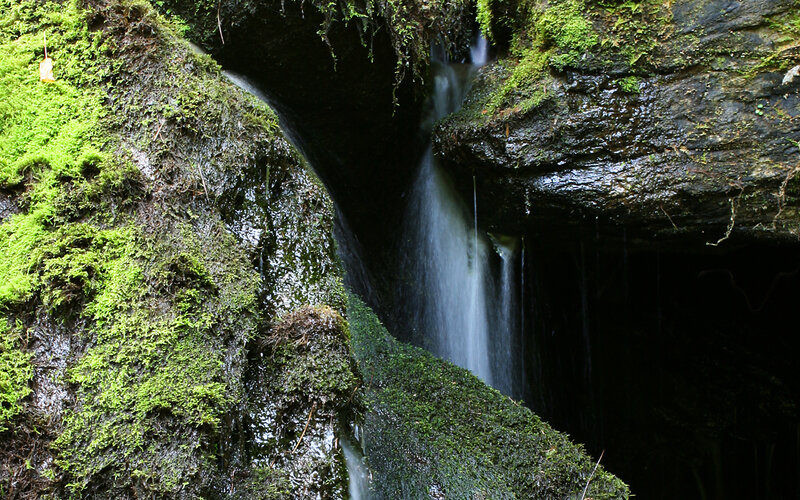 Mossy waterfall in a forest