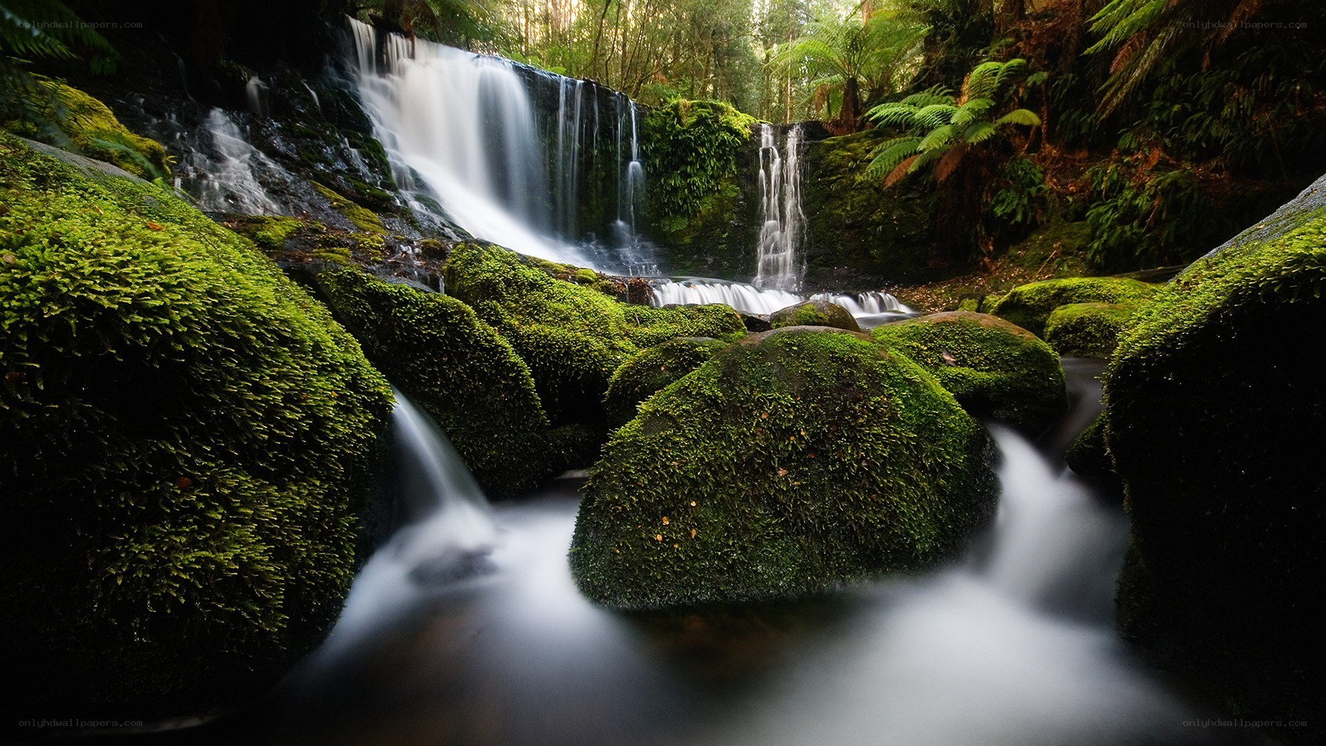 Mossy waterfall in forest