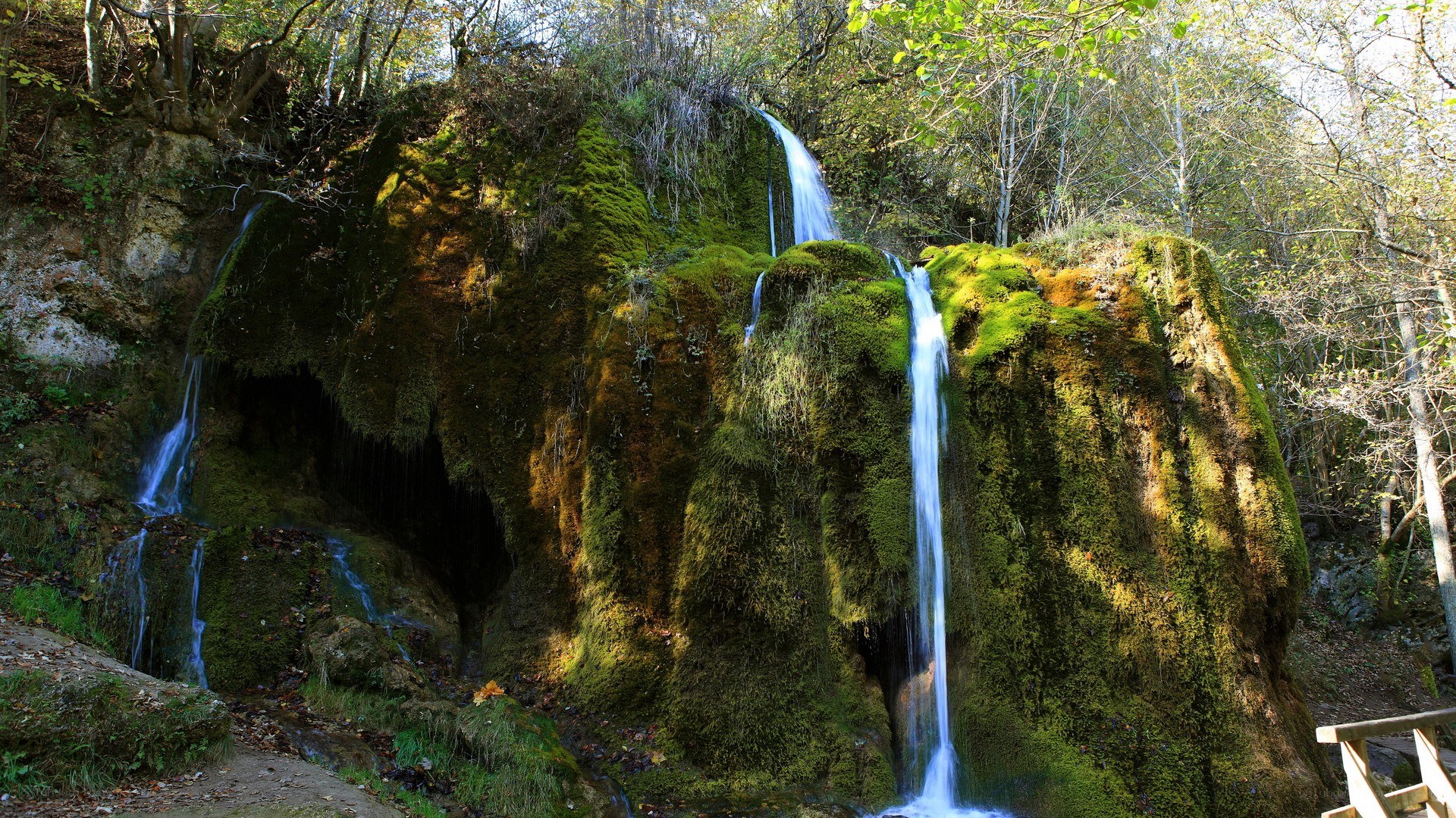 Mossy waterfall in forest