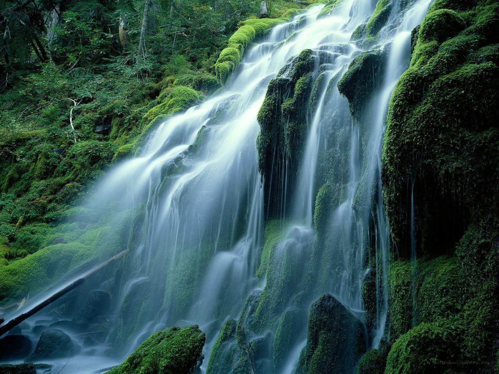 Mossy waterfall in forest