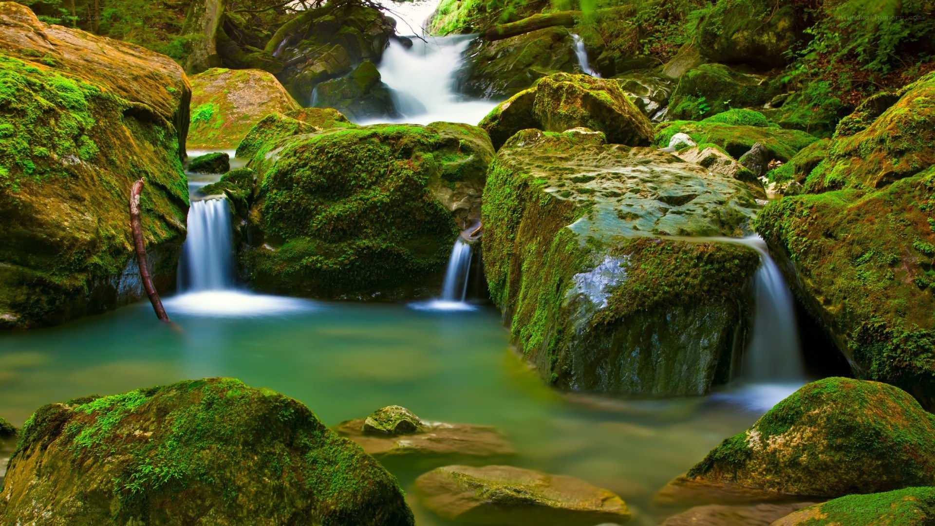 Mossy waterfall in forest