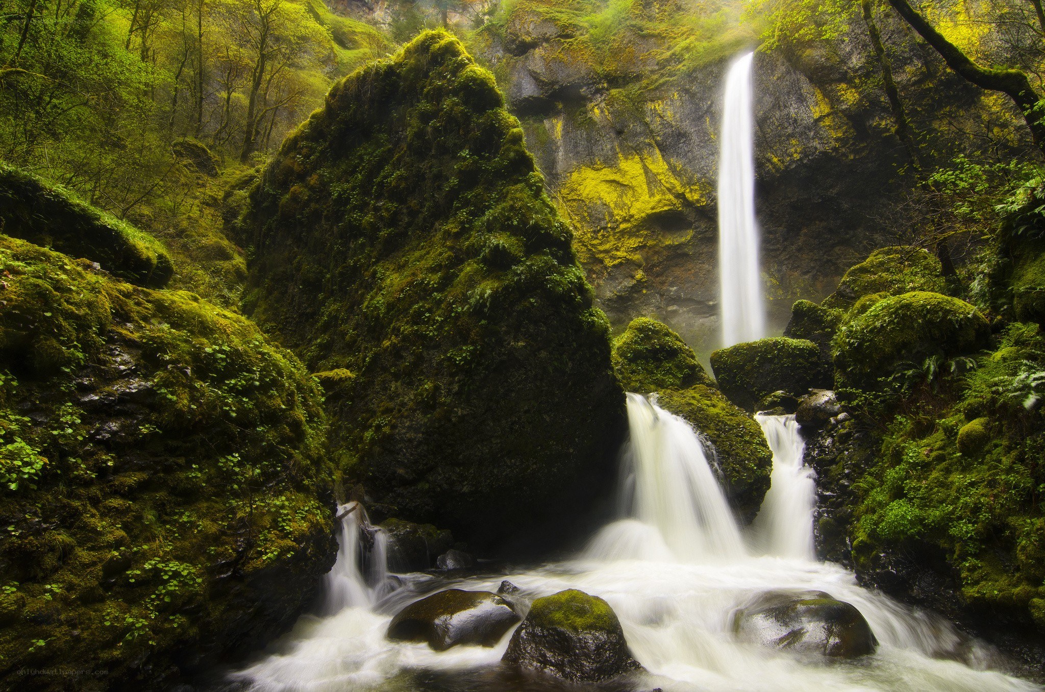 Mossy waterfall in forest
