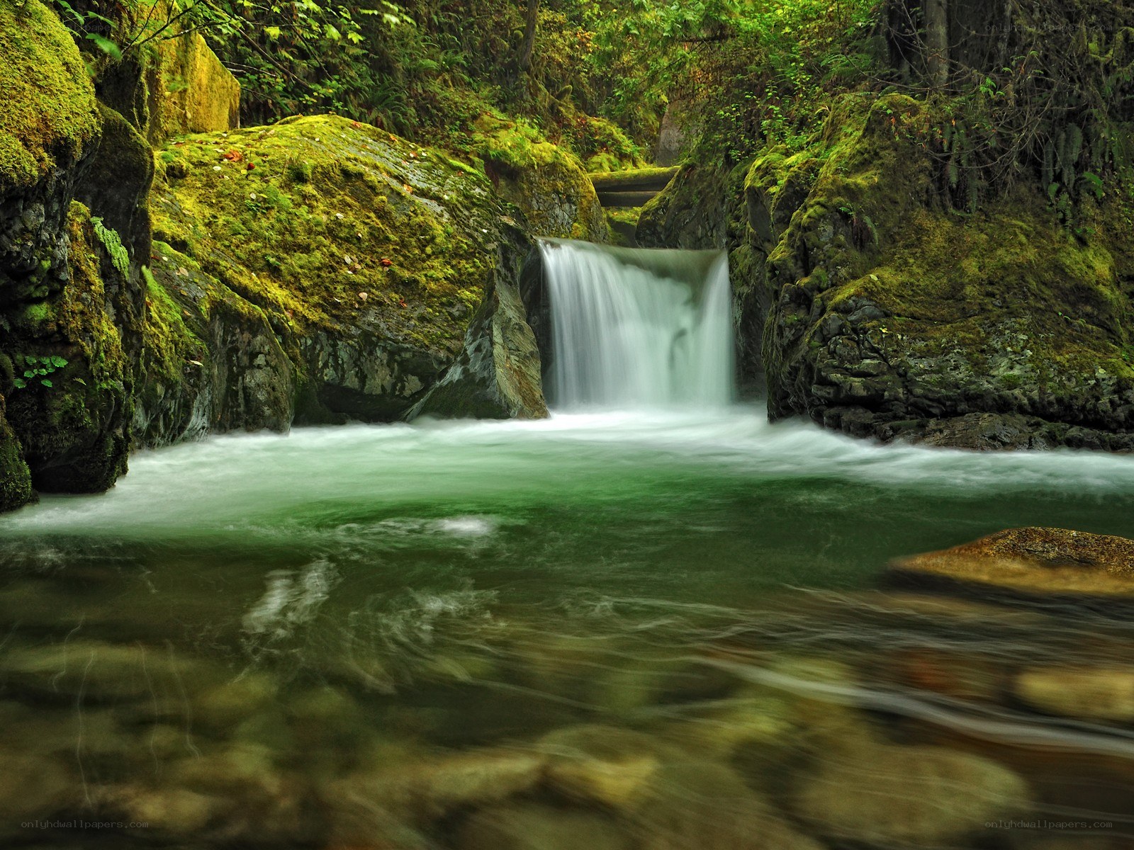 Mossy waterfall in forest
