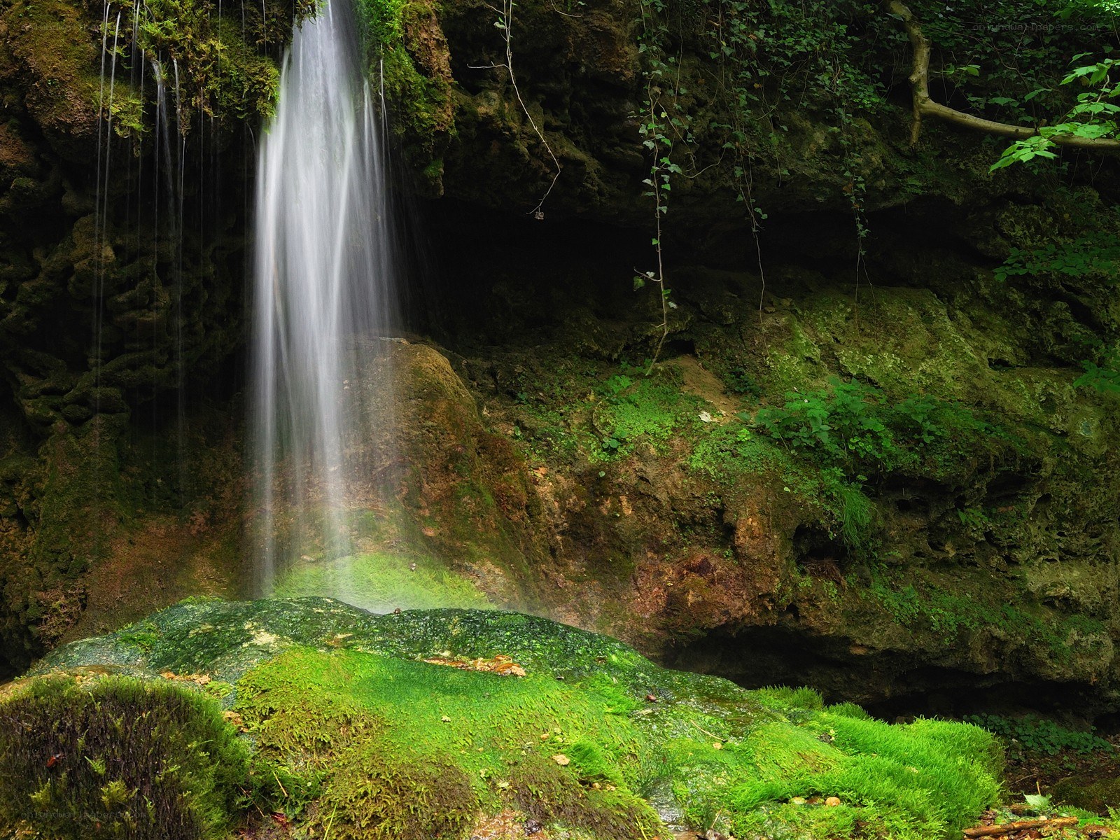 Mossy waterfall in forest
