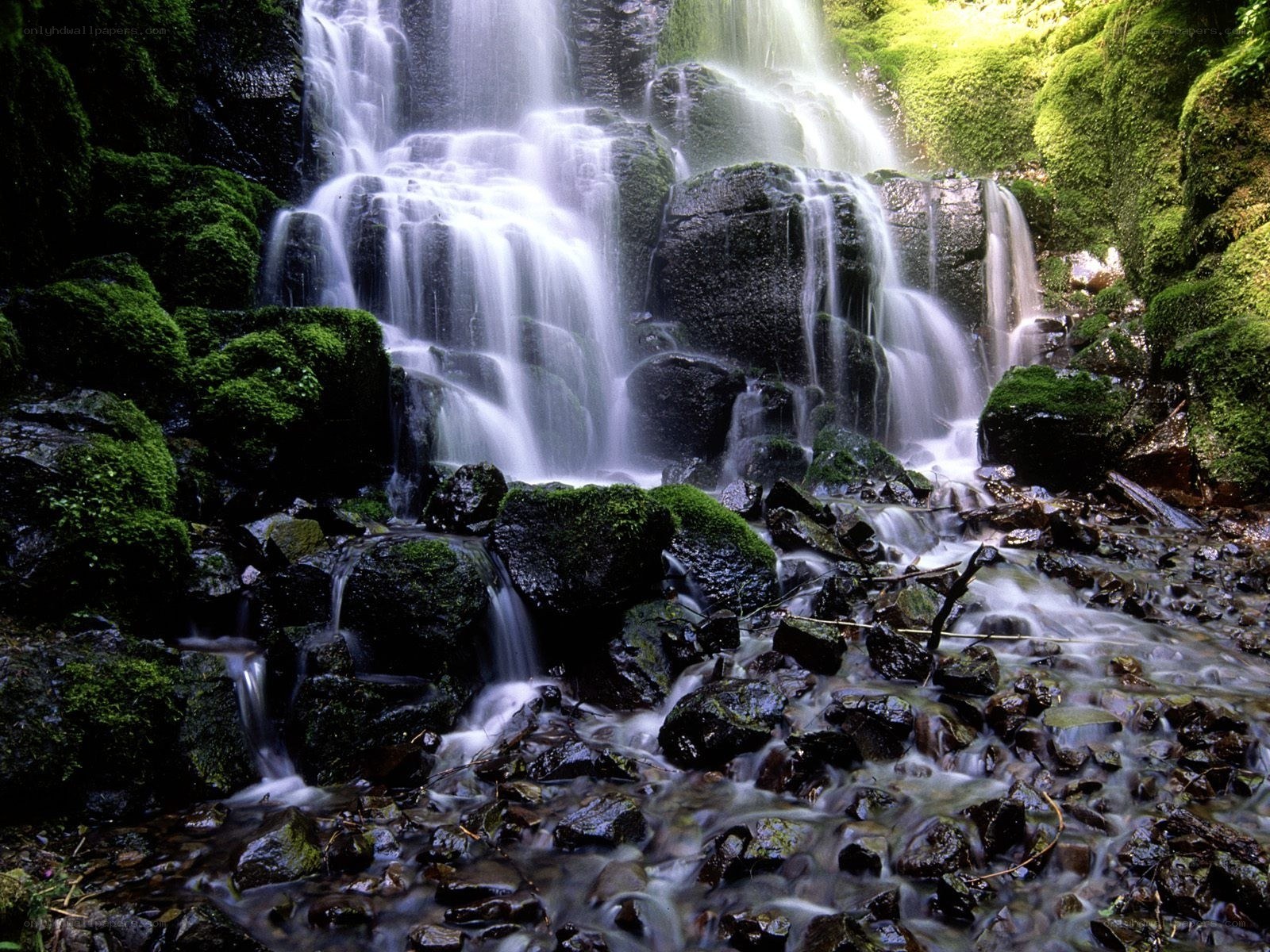 Mossy waterfall in forest
