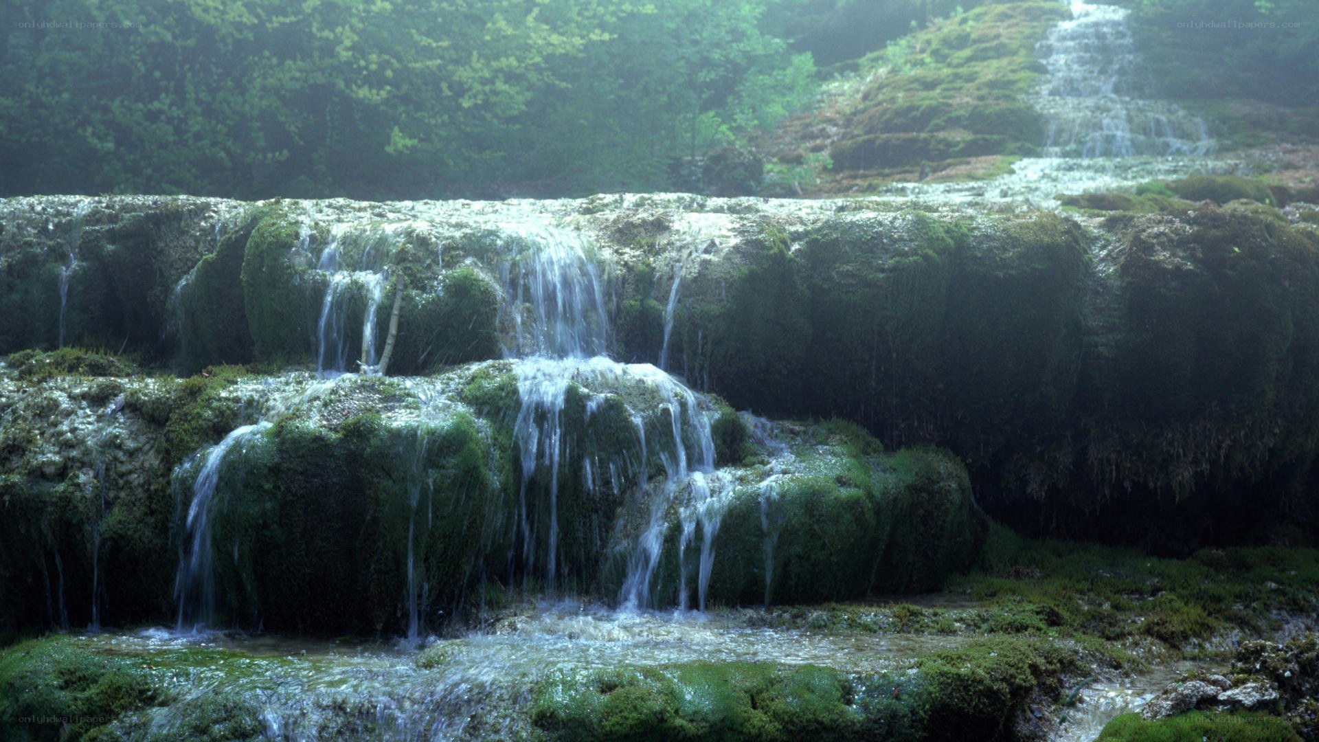 Mossy waterfall in forest
