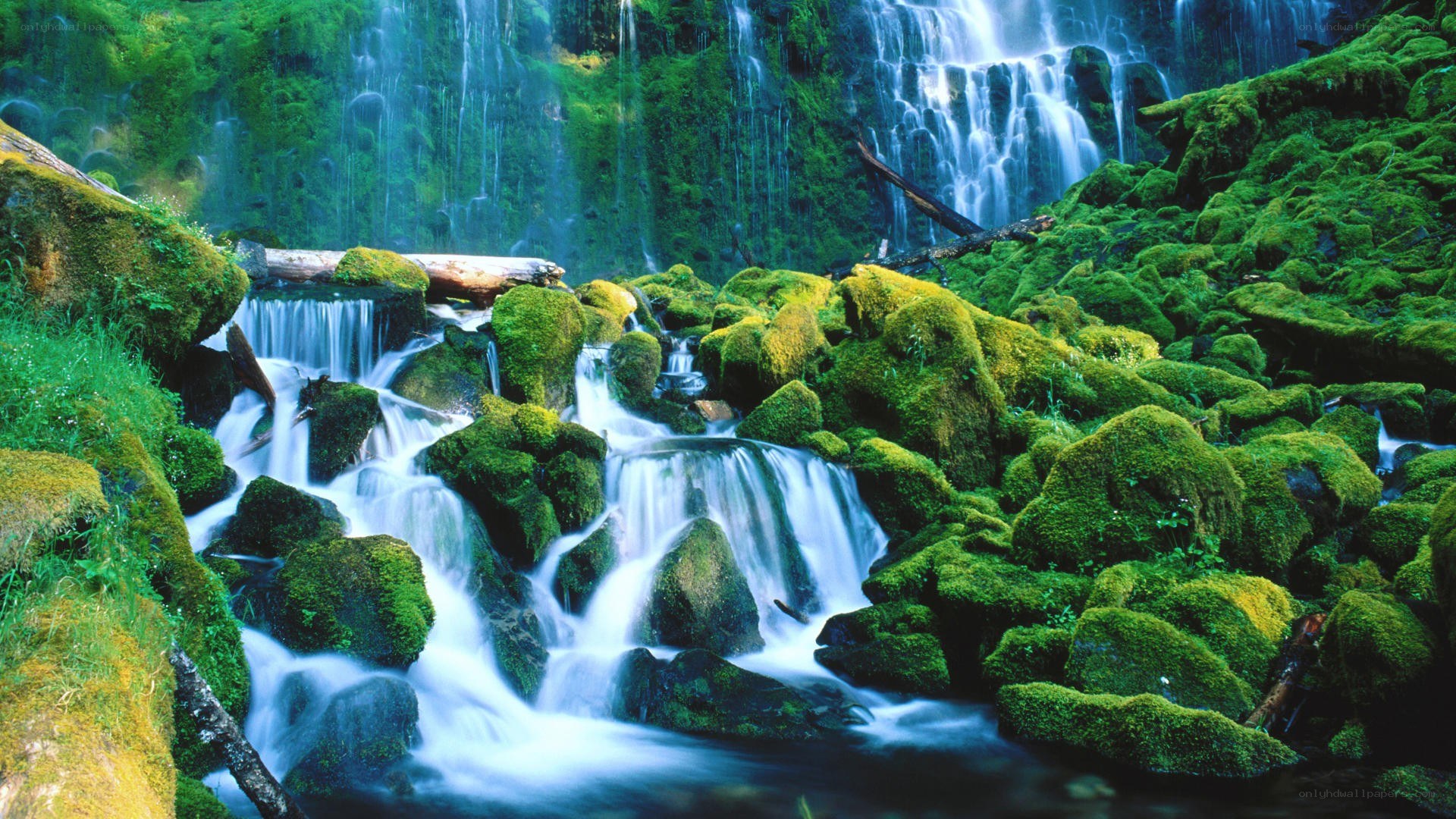 Mossy waterfall in forest