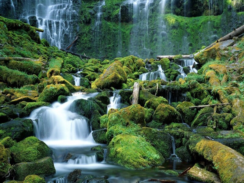 Mossy waterfall in forest