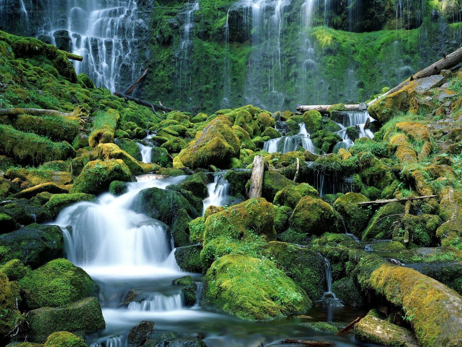 Mossy waterfall in forest
