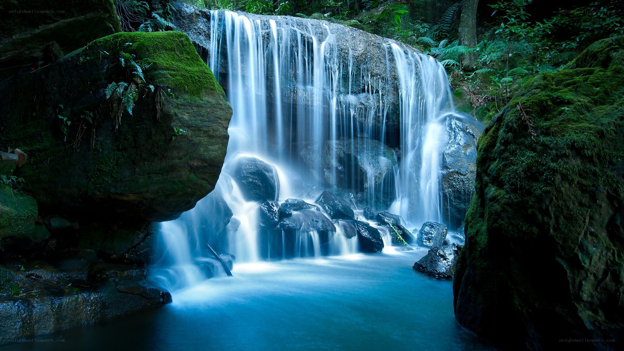 Mossy waterfall in forest
