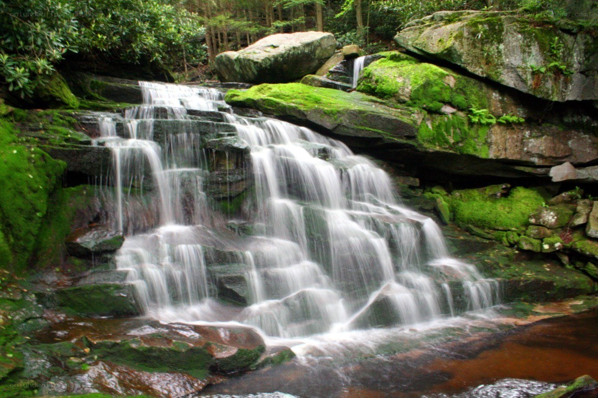 Mossy waterfall in forest