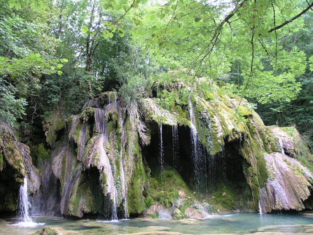 Mossy waterfall in forest