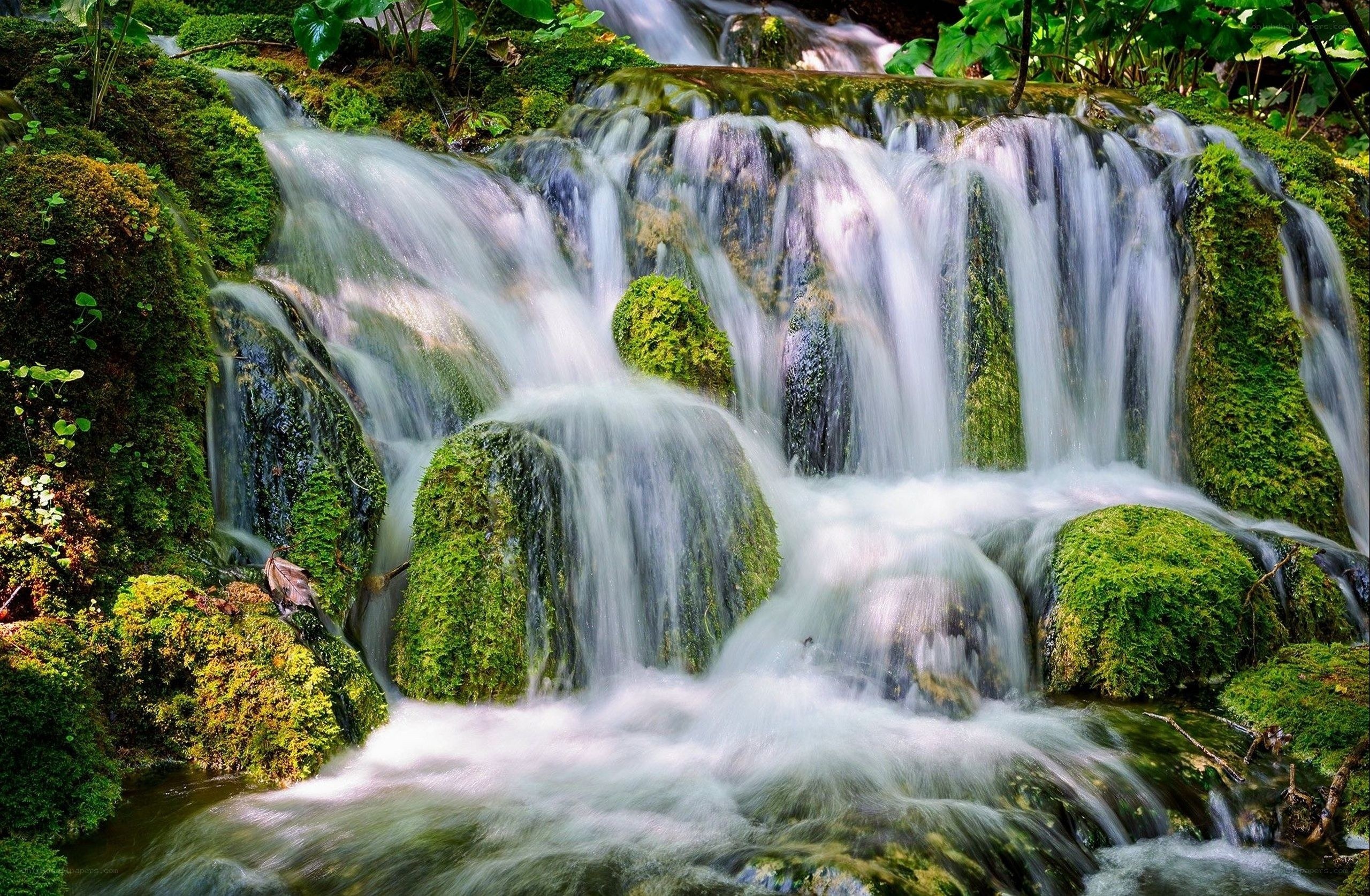 Mossy waterfall in forest