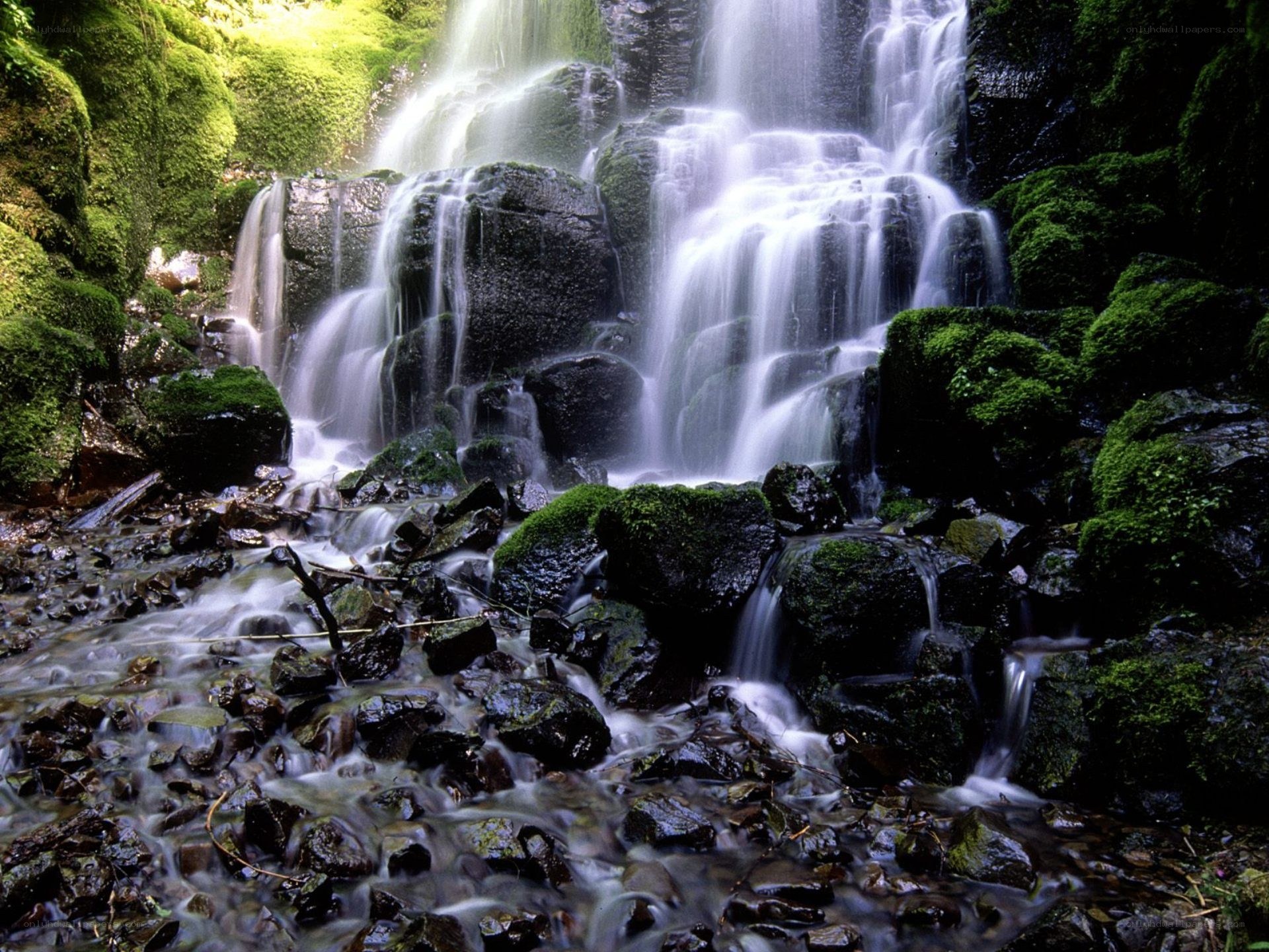 Mossy waterfall in forest