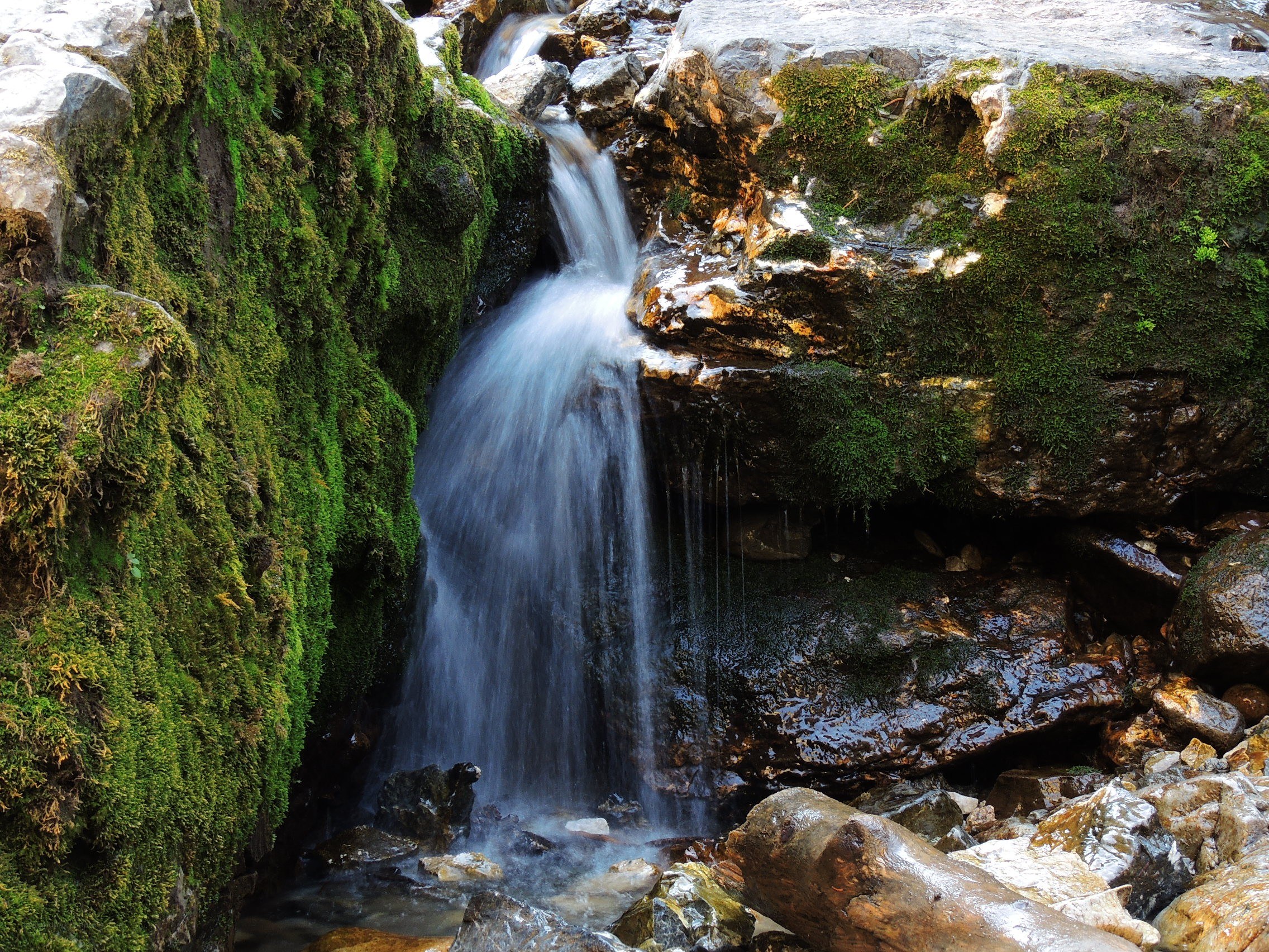 Mossy waterfall in forest