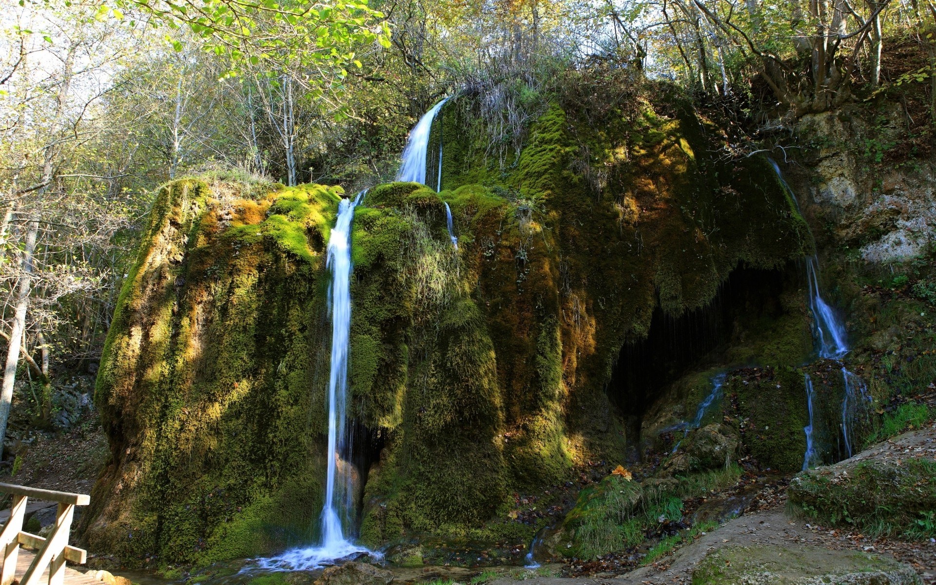 Mossy waterfall in forest