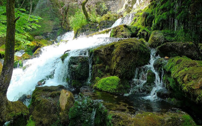 Mossy waterfall in forest