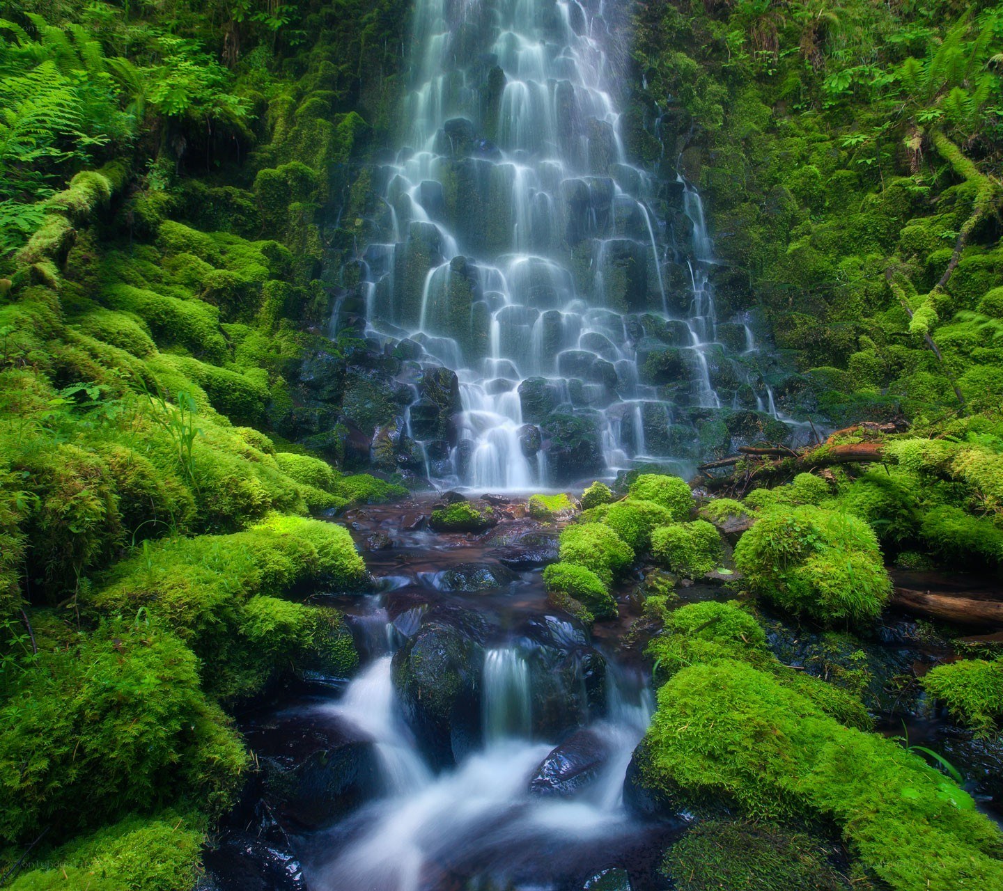 Mossy waterfall in forest