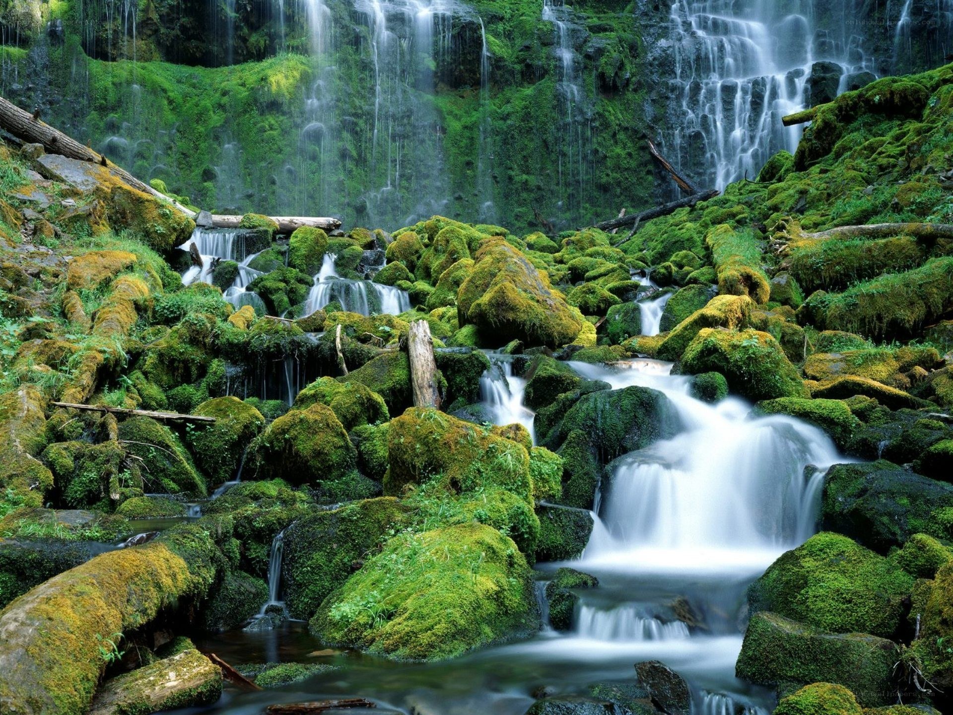 Mossy waterfall in forest