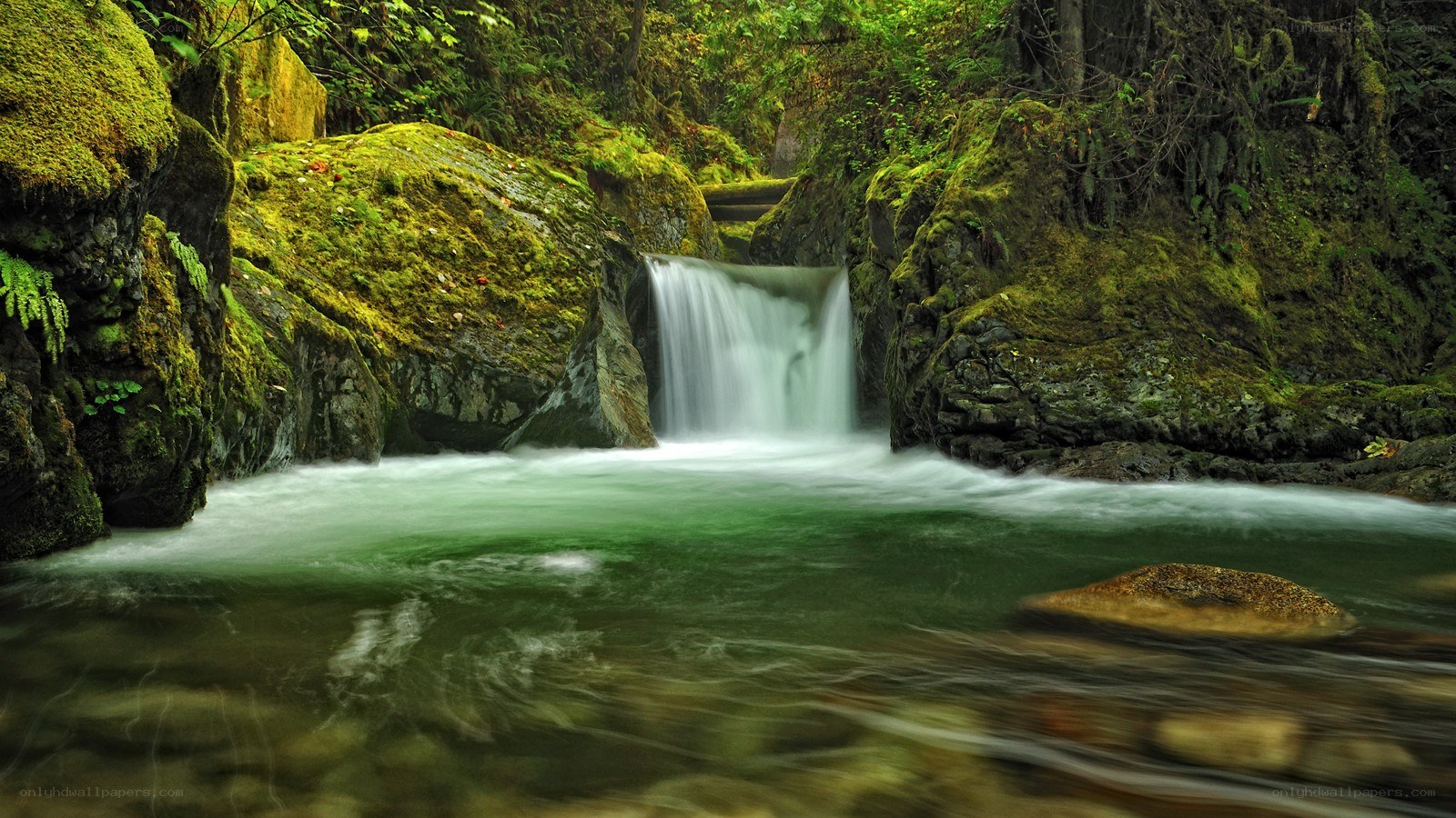 Mossy waterfall in forest